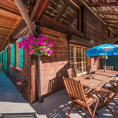Spacieux A 120 M² Avec Terrasse Privee Châtel