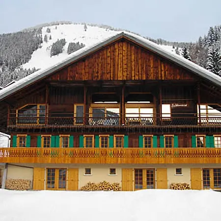 Spacieux A 120 M² Avec Terrasse Privee Châtel